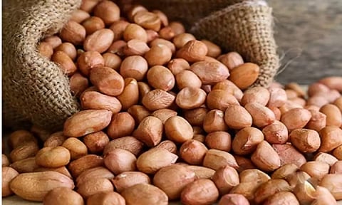 ரூ.3 லட்சத்து 27 ஆயிரத்துக்கு நிலக்கடலை விற்பனை