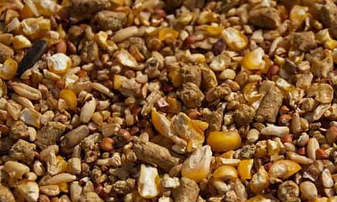 கோப்புபடம். 