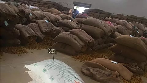 திருச்செங்கோட்டில் மஞ்சள் ரூ.2 கோடியே 30 லட்சத்திற்கு ஏலம்