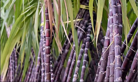 கோப்புபடம்