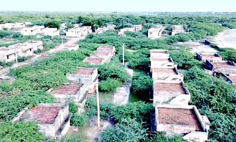 பயனாளிகளால் புறக்கணிக்கப்பட்ட சுனாமி வீடுகள்