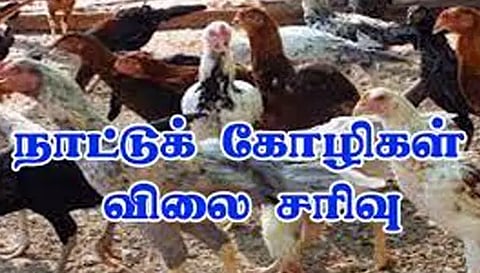 பரமத்திவேலூர் சந்தையில் நாட்டுக்கோழி விலை சரிவு