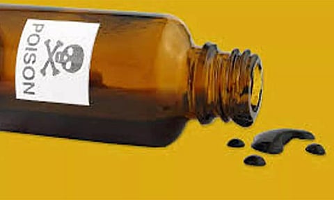 கோப்பு படம்.