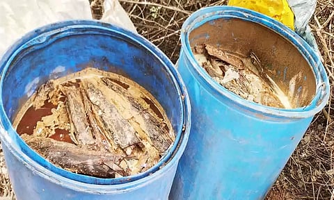 சாராய ஊறல் அழிப்பு