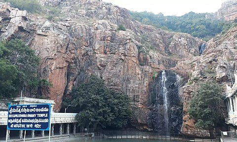 திருப்பதி கபிலேஸ்வரர் கோவிலில் பத்ர புஷ்ப யாக மகோற்சவம் நாளை நடக்கிறது