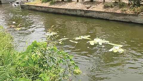 ராஜா வாய்க்காலில் வீசப்பட்ட எச்சில் இலைகளை படத்தில் காணலாம். 