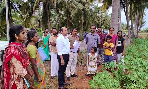கொந்தளம் ஊராட்சியில் தோட்டக்கலை மற்றும் மலைப்பயிர்கள் துறையின் சார்பில் தமிழ்நாடு பாசன வேளாண்மை நவீன மயமாக்கல் திட்டத்தின் கீழ் மரவள்ளிக்கிழங்கு மானியத்திடன் பயிரிடப்பட்டுள்ளதை கலெக்டர் கிருஷ்ணனுண்ணி பார்வையிட்டு விவசாய பயனாளிகளிடம் கலந்துரையாடினார்.
