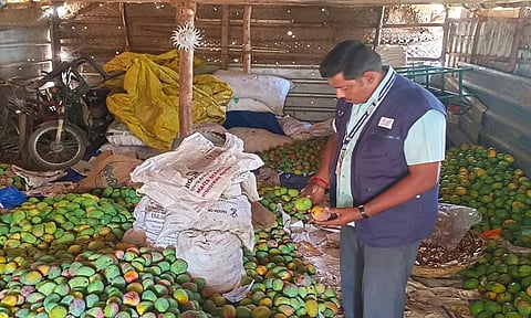 பழக்கடைகளில் உணவு பாதுகாப்பு துறை அலுவலர் ஆய்வு