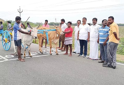 மாட்டுவண்டி பந்தயத்தை மார்க்கண்டேயன் எம்.எல்.ஏ.வும், விளாத்திகுளம் யூனியன் சேர்மன் முனிய சக்தி ராமச்சந்திரனும் கொடி அசைத்து தொடங்கி வைத்த காட்சி