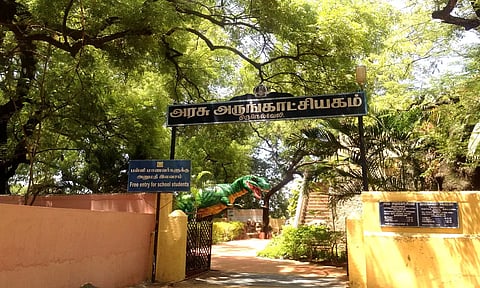 நெல்லை அரசு அருங்காட்சியகத்தில் கோடை விடுமுறை கால பயிற்சி முகாம்- நாளை தொடங்குகிறது