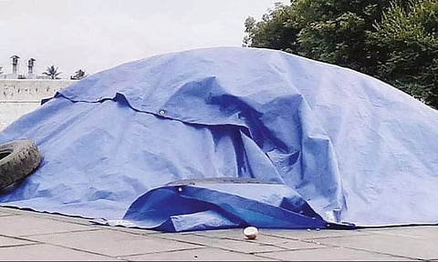  தேங்காய் களத்தில் உடைத்து உலர வைக்கப்பட்டுள்ள பருப்பு தார்பாயால் மூடப்பட்டுள்ளதை படத்தில் காணலாம். 