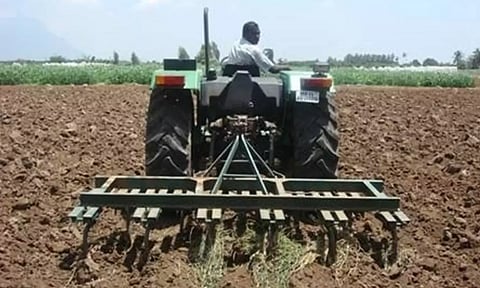 கோடை உழவு செய்து மக்காச்சோள படைப்புழுவை கட்டுப்படுத்தலாம்-வேளாண்மை இணை இயக்குநர் ஆலோசனை