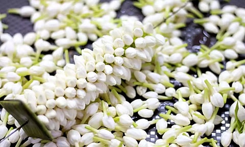 நெல்லையில் இன்று பூக்களின் விலை கடும் உயர்வு; பிச்சிப்பூ கிலோ ரூ.1,500-க்கு விற்பனை