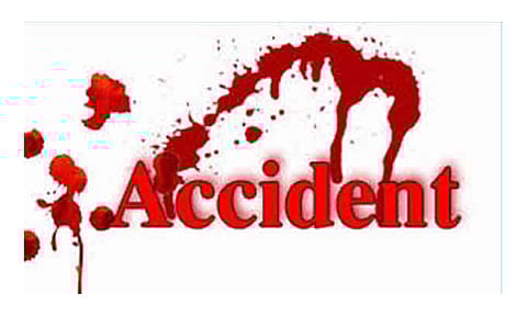 வெவ்வேறு இடங்களில் நடந்த விபத்து தனியார் நிறுவன ஊழியர் உள்பட 3 பேர் பலி