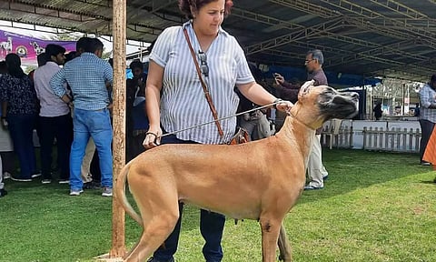 ஊட்டியில் சுற்றுலா பயணிகளை கவர்ந்த 56 வகையான நாய்கள்