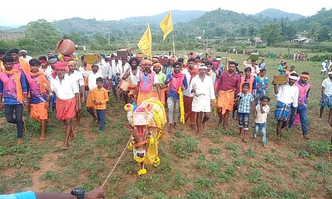 அருள்வாக்கு கூறிய காளையை அலங்கரித்து கோவிலுக்கு அழைத்து வந்த காட்சி.