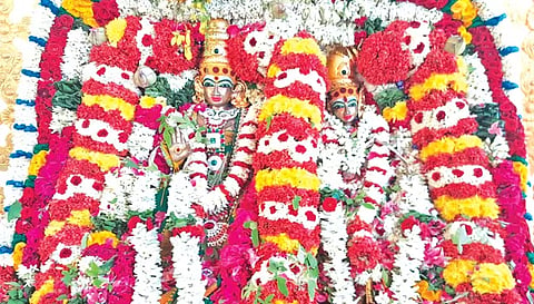 மீனாட்சியம்மை உடனுறை சொக்கநாத பெருமான் சிறப்பு அலங்காரத்தில் பக்தர்களுக்கு அருள்பலித்த போது எடுத்த படம்.