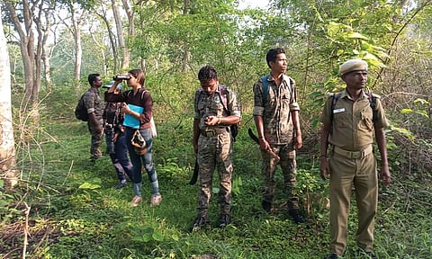 முதுமலை புலிகள் காப்பகத்திற்கு உட்பட்ட வனப்பகுதிகளில் யானைகள் கணக்கெடுப்பு பணியில் ஈடுபட்ட வன ஊழியர்கள்