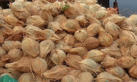 வெப்பிலி விற்பனைக்கூடத்தில் ரூ.68 ஆயிரத்துக்கு தேங்காய் ஏலம்