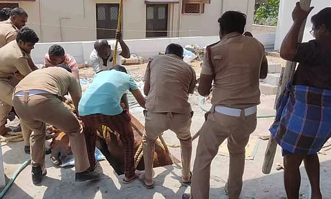  ராட்சத கயிறு மூலம் தீயணைப்பு வீரர்கள் குதிரை மீட்கப்பட காட்சி.