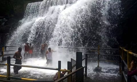 கோப்பு படம்