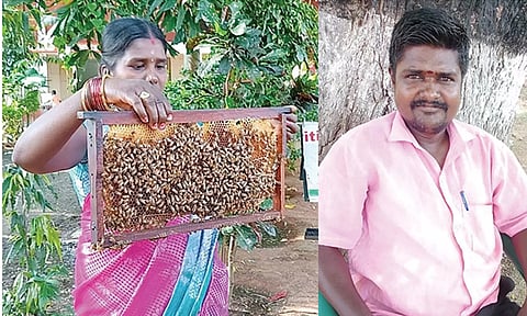 தேனீ வளர்ப்பில் ஈடுபட்டுள்ள விவசாய தம்பதி.