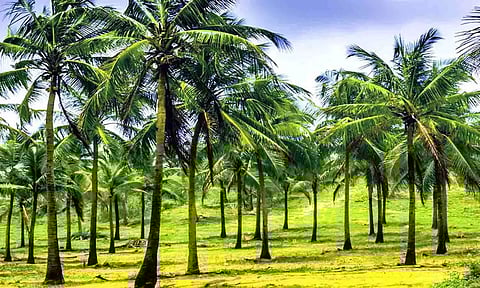 கோப்புபடம்.