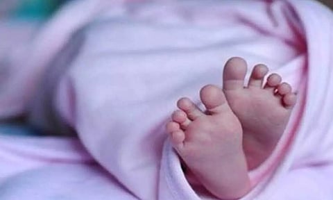 பிறந்து 10 நாளே ஆன குழந்தையின் உடலை கடித்து குதறிய நாய்கள்- வீசிச்சென்ற தாயை போலீசார் தேடுகிறார்கள்