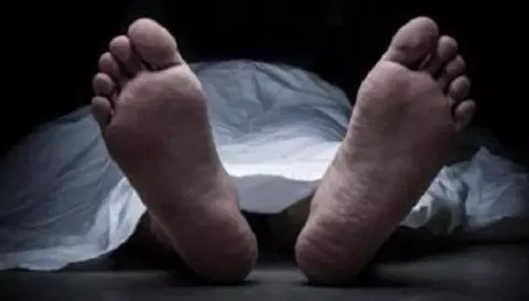 ராஜபாளையம் அருகே மின்வேலியில் சிக்கி காவலாளி பலி