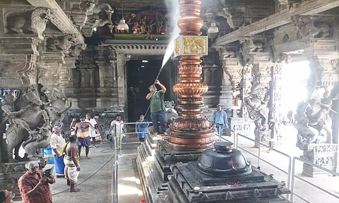 கடலூர் திருப்பாதிரிப்புலியூர் பாடலீஸ்வரர் கோவிலில் வைகாசி பெருவிழா முன்னிட்டு சிவனடியார்கள் உழவார பணி மேற்கொண்டனர்.