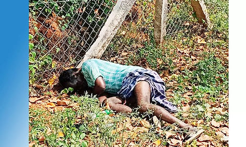 மாயமான லாரி டிரைவர் மர்ம சாவு