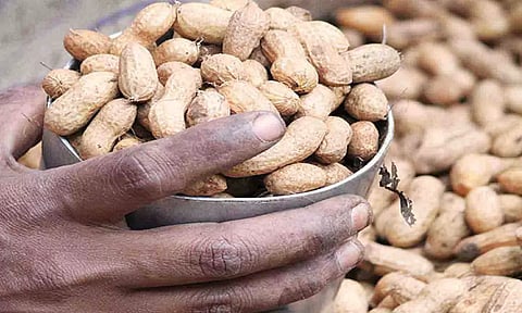 கோப்புபடம்.