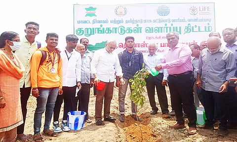 குறுங்காடுகள் வளர்ப்பு திட்டம்