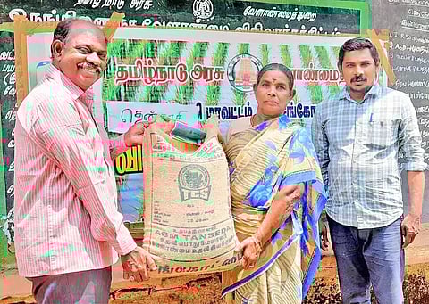 செங்கோட்டையில் நெல் விதை மானியத்தில் விநியோகம்