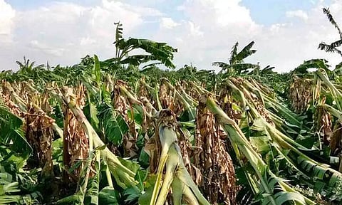 கோப்புபடம்.
