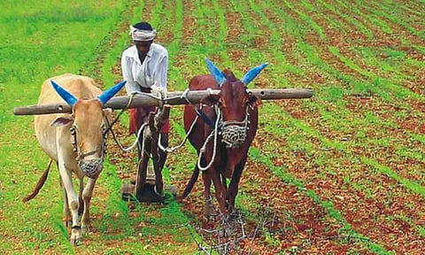 கோப்புபடம்.