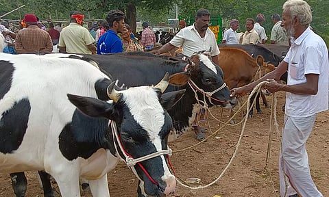 பு.புளியம்பட்டி சந்தையில் கால்நடைகள் விற்பனை நடந்த போது எடுத்த படம்.