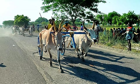 போட்டியில் கலந்து கொண்ட மாட்டு வண்டிகள் சீறிப்பாய்ந்த காட்சி.