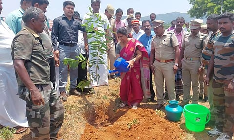 ஈச்சம்பள்ளம் பகுதியில் கலெக்டர் சாந்தி மரக்கன்று நட்டபோது எடுத்தப்படம். 