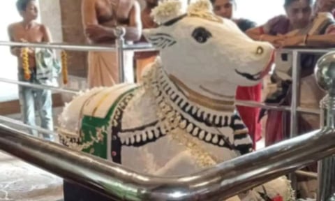 நந்தி -50 தகவல்கள்