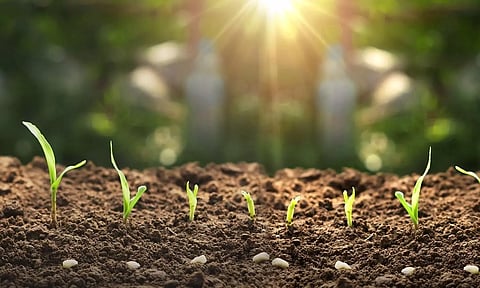 விவசாயிகள் தங்கள் வயல்களில் வண்டல் மண் இட்டு அதிக மகசூல் பெறலாம் - வேளாண் அதிகாரி ஆலோசனை