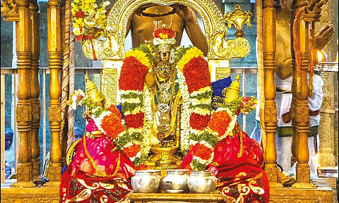 ஸ்ரீரங்கம் ரெங்கநாதர் கோவிலில் நம்பெருமாள் வசந்த உற்சவம் தொடங்கியது