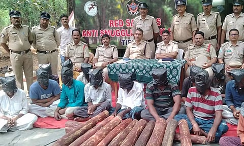 பறிமுதல் செய்யப்பட்ட செம்மரக்கட்டை, கைதானவர்களை படத்தில் காணலாம்.