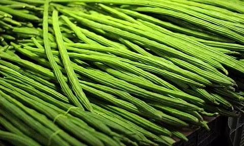 கோப்புபடம்.