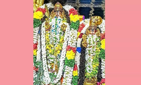 சுப்பிரமணிய சுவாமி கோவிலில் வைகாசி விசாக திருவிழா