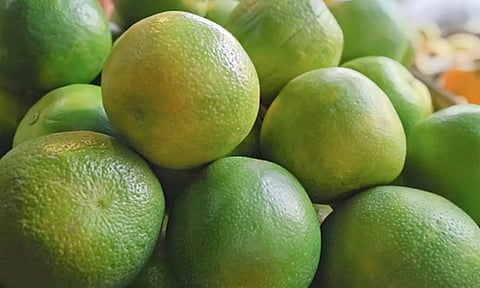 சாத்துக்குடி விலை சரிவால் விற்பனை அதிகரிப்பு