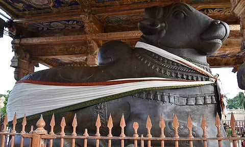 நல்லன யாவும் கிட்டும் நந்தி தரிசனம்!