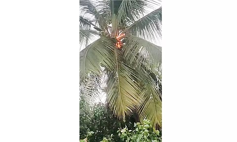 கோப்பு படம்.