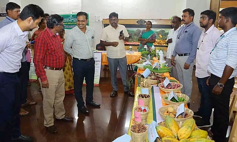 கூட்டத்தில் அமைக்கப்பட்டிருந்த வேளாண் கண்காட்சி அரங்கினை கலெக்டர் கிறிஸ்துராஜ் பார்வையிட்ட காட்சி. 