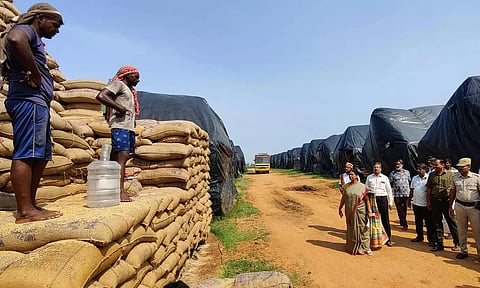 7 ஆயிரம் நெல் மூட்டைகள் மாயமாகவில்லை- கலெக்டர் விளக்கம்